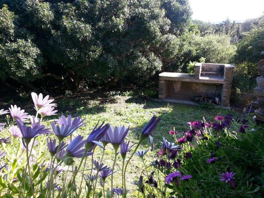 דירות סטינטינו L' Elicriso, A Pochi Passi Dal Mare Con Giardino Privato - The Elicriso, A Few Meters From The Sea, With Private Garden מראה חיצוני תמונה