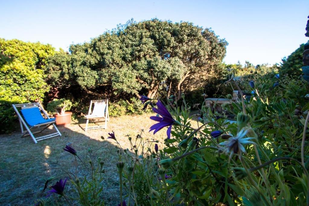 דירות סטינטינו L' Elicriso, A Pochi Passi Dal Mare Con Giardino Privato - The Elicriso, A Few Meters From The Sea, With Private Garden מראה חיצוני תמונה