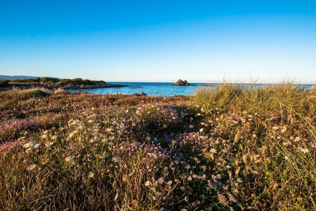 דירות סטינטינו L' Elicriso, A Pochi Passi Dal Mare Con Giardino Privato - The Elicriso, A Few Meters From The Sea, With Private Garden מראה חיצוני תמונה