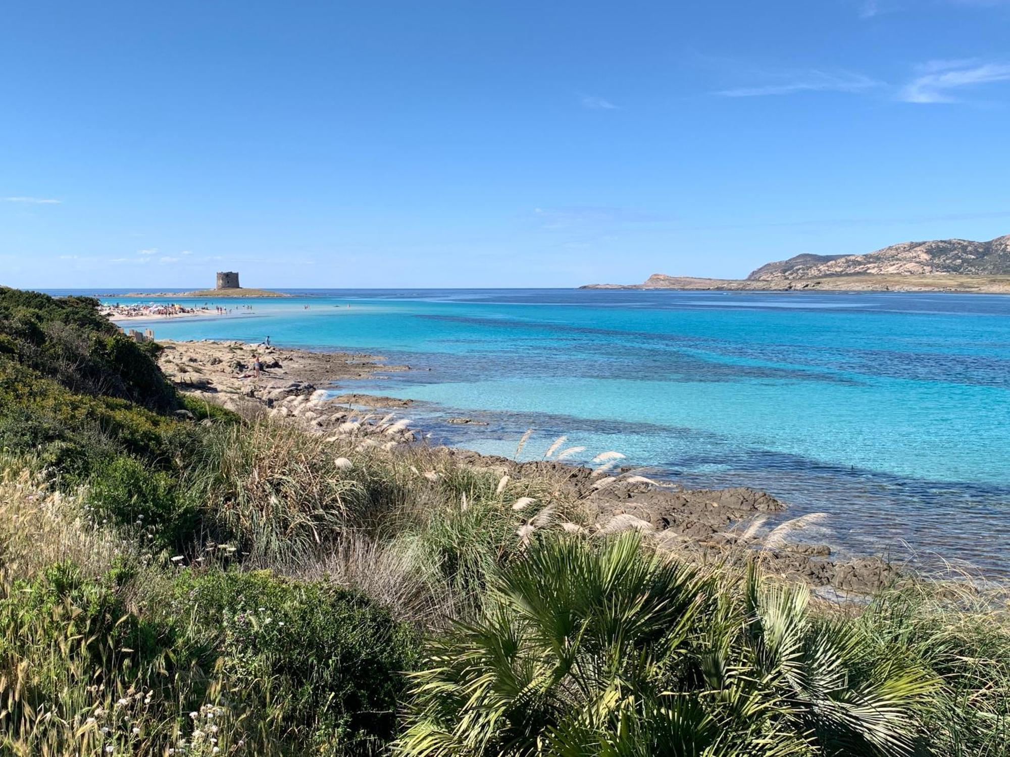 דירות סטינטינו L' Elicriso, A Pochi Passi Dal Mare Con Giardino Privato - The Elicriso, A Few Meters From The Sea, With Private Garden מראה חיצוני תמונה