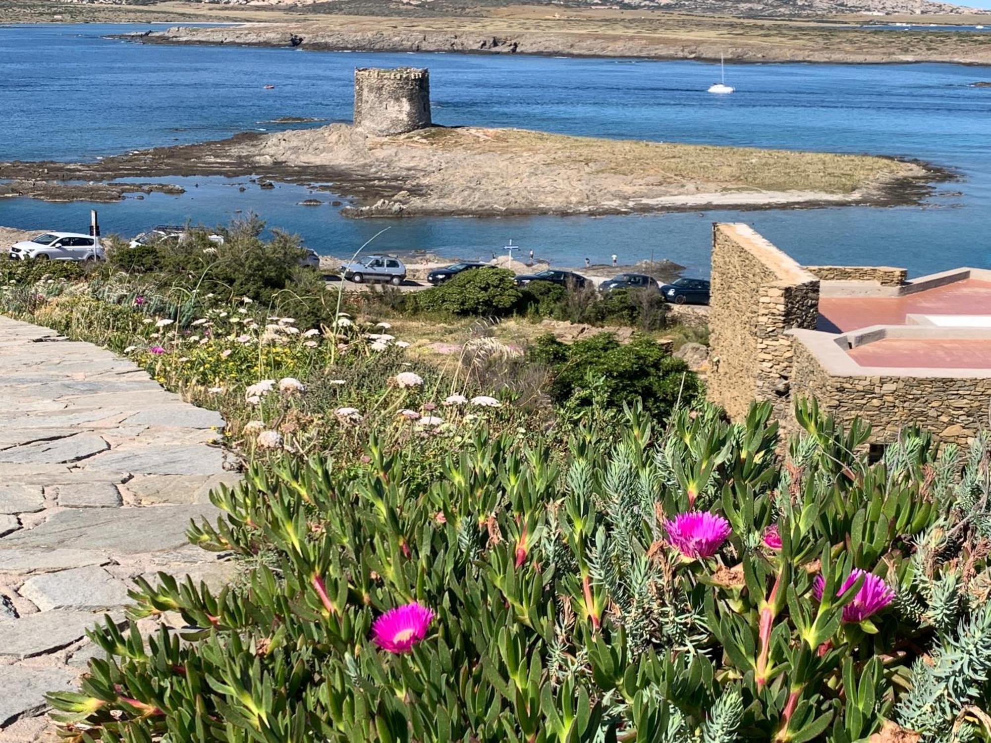 דירות סטינטינו L' Elicriso, A Pochi Passi Dal Mare Con Giardino Privato - The Elicriso, A Few Meters From The Sea, With Private Garden מראה חיצוני תמונה