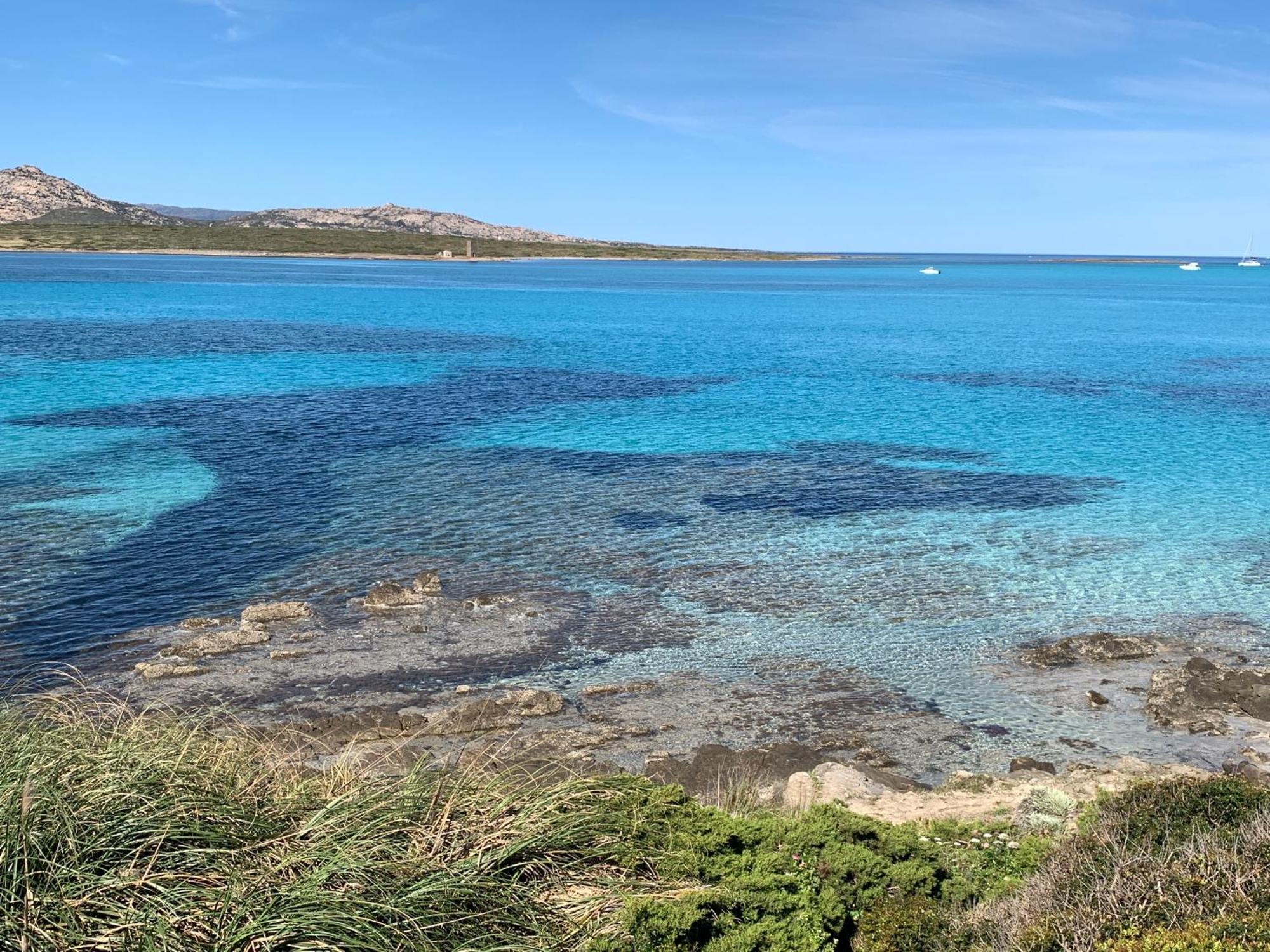 דירות סטינטינו L' Elicriso, A Pochi Passi Dal Mare Con Giardino Privato - The Elicriso, A Few Meters From The Sea, With Private Garden מראה חיצוני תמונה