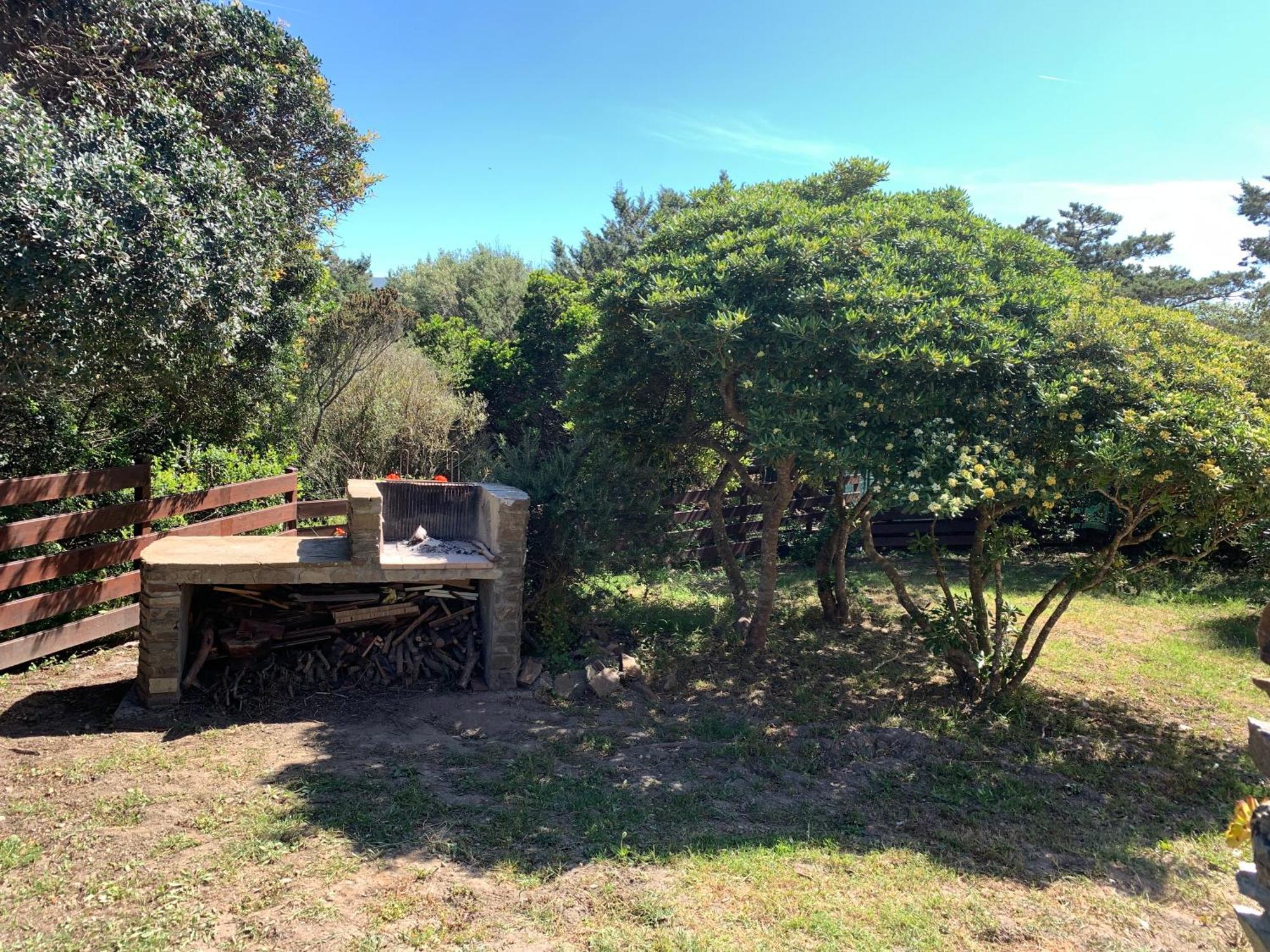 דירות סטינטינו L' Elicriso, A Pochi Passi Dal Mare Con Giardino Privato - The Elicriso, A Few Meters From The Sea, With Private Garden מראה חיצוני תמונה