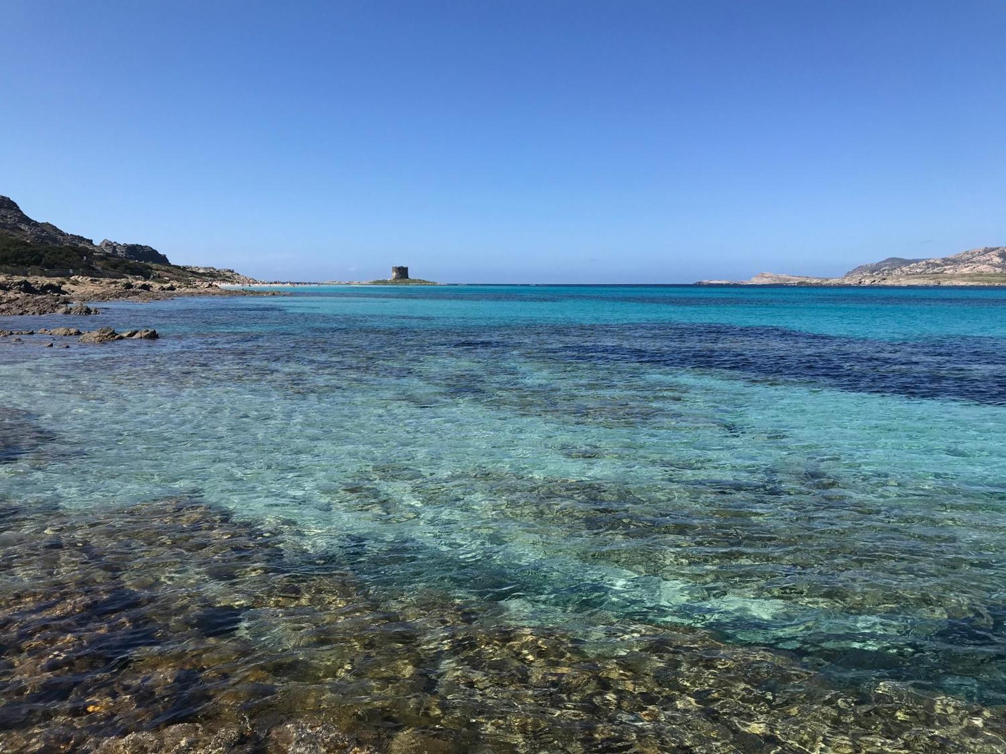 דירות סטינטינו L' Elicriso, A Pochi Passi Dal Mare Con Giardino Privato - The Elicriso, A Few Meters From The Sea, With Private Garden מראה חיצוני תמונה